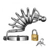 Asylum 4 Ring Locking Chastity Cage - Small/medium