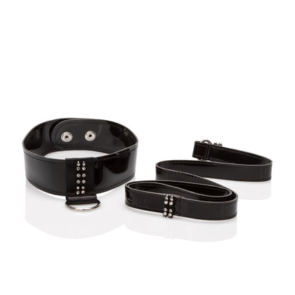 Diamond Leash and Collar Set