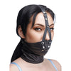 Face Harness With Stuffer Gag