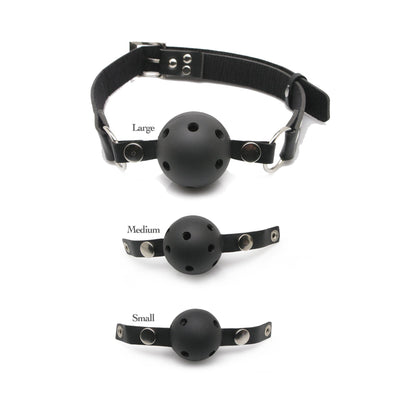 Fetish Fantasy Series Ball Gag Training System