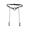 Fetish Fantasy Series Ltd. Ed. O-Ring Gag & Nipple Clamps