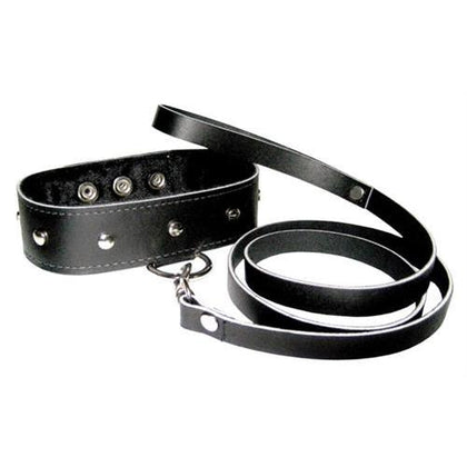 Leather Collar and Leash Set